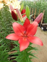 [4048 Break Out No102.JPG]